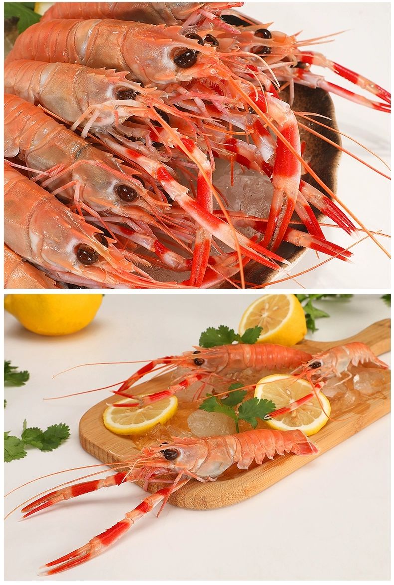 新鲜海龙虾海螯虾鲜活超大虾皇深海生吃虾刺身海虾铁甲虾活物 3斤装