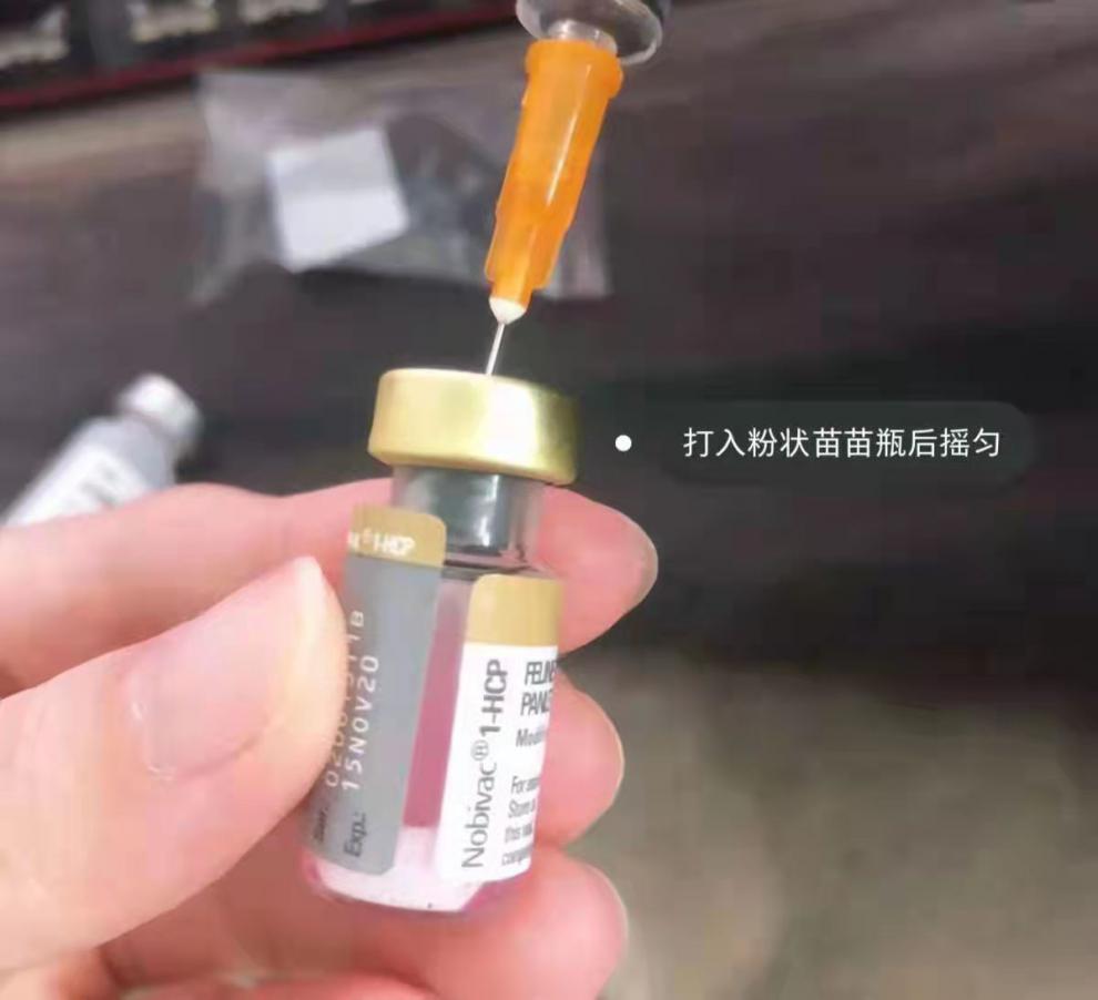 京东推荐持证经营荷兰英特威猫三联疫苗狂犬疫苗套装小猫针幼猫成猫防