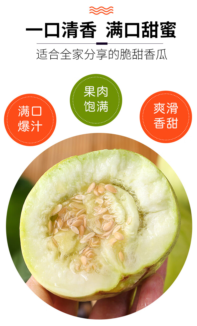 山东马连庄新鲜甜瓜 水果孕妇生鲜当季整箱香甜宝蜜瓜时令应季 三斤