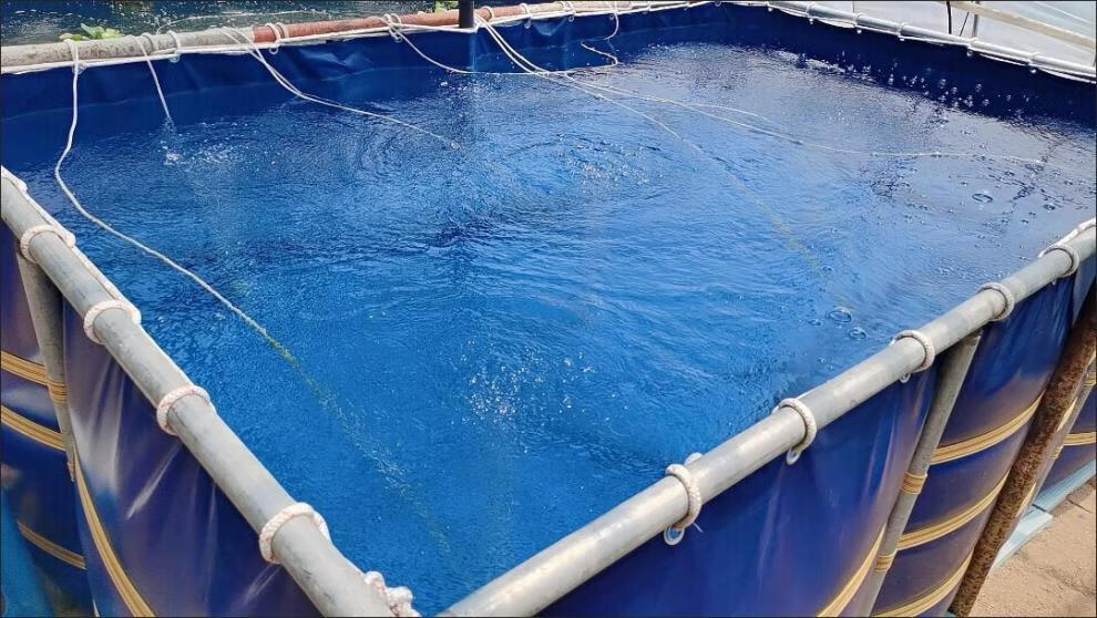 养鱼箱帆布帆布鱼池养殖池大型游泳池防水布篷布防晒加厚雨布蓄水池