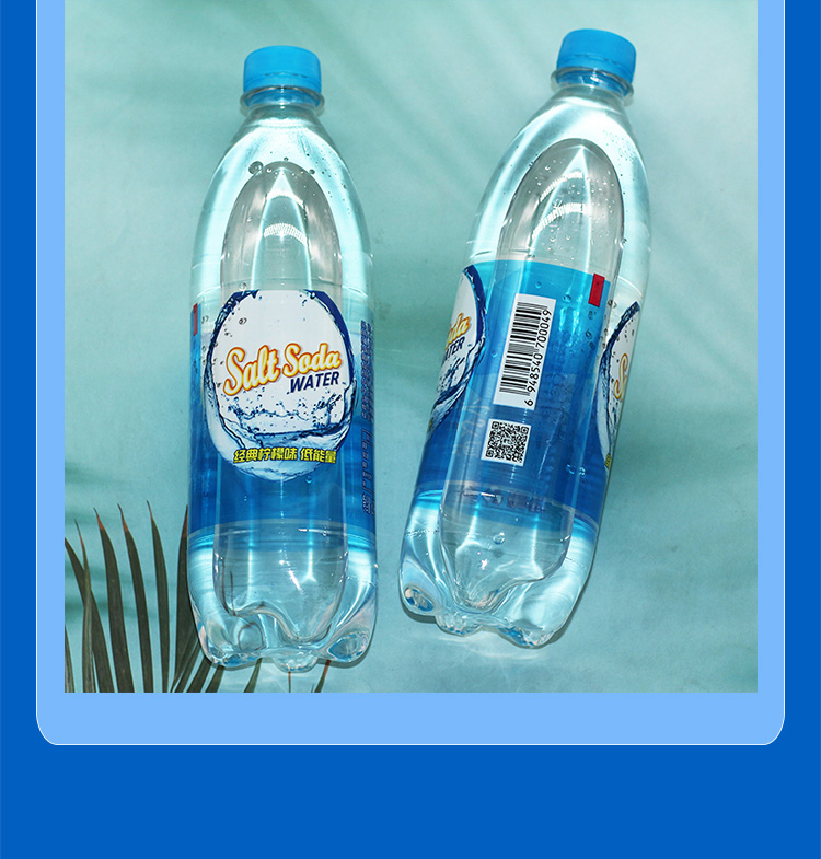 盐汽水 正广和盐汽水 雪菲力盐汽水 碧纯盐汽水600ml整箱饮料 盐汽水