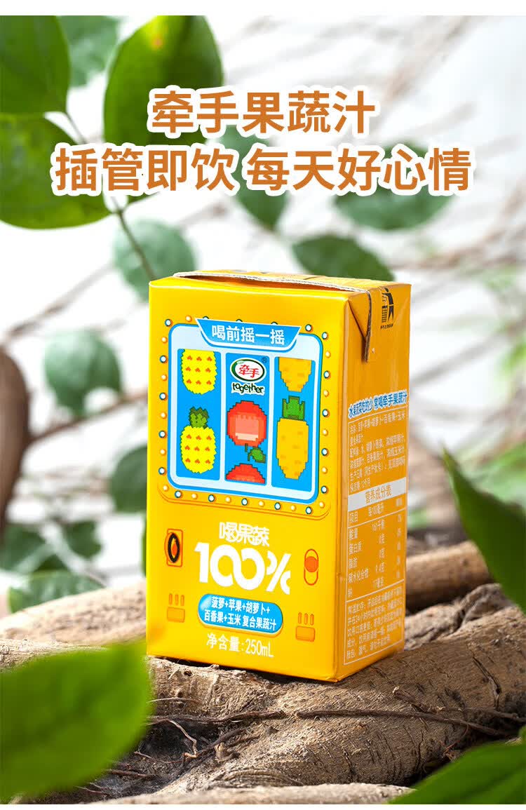 牵手果蔬汁 饮料胡萝卜苹果桃汁 250ml*10盒 复合果蔬汁饮料饮品 喝