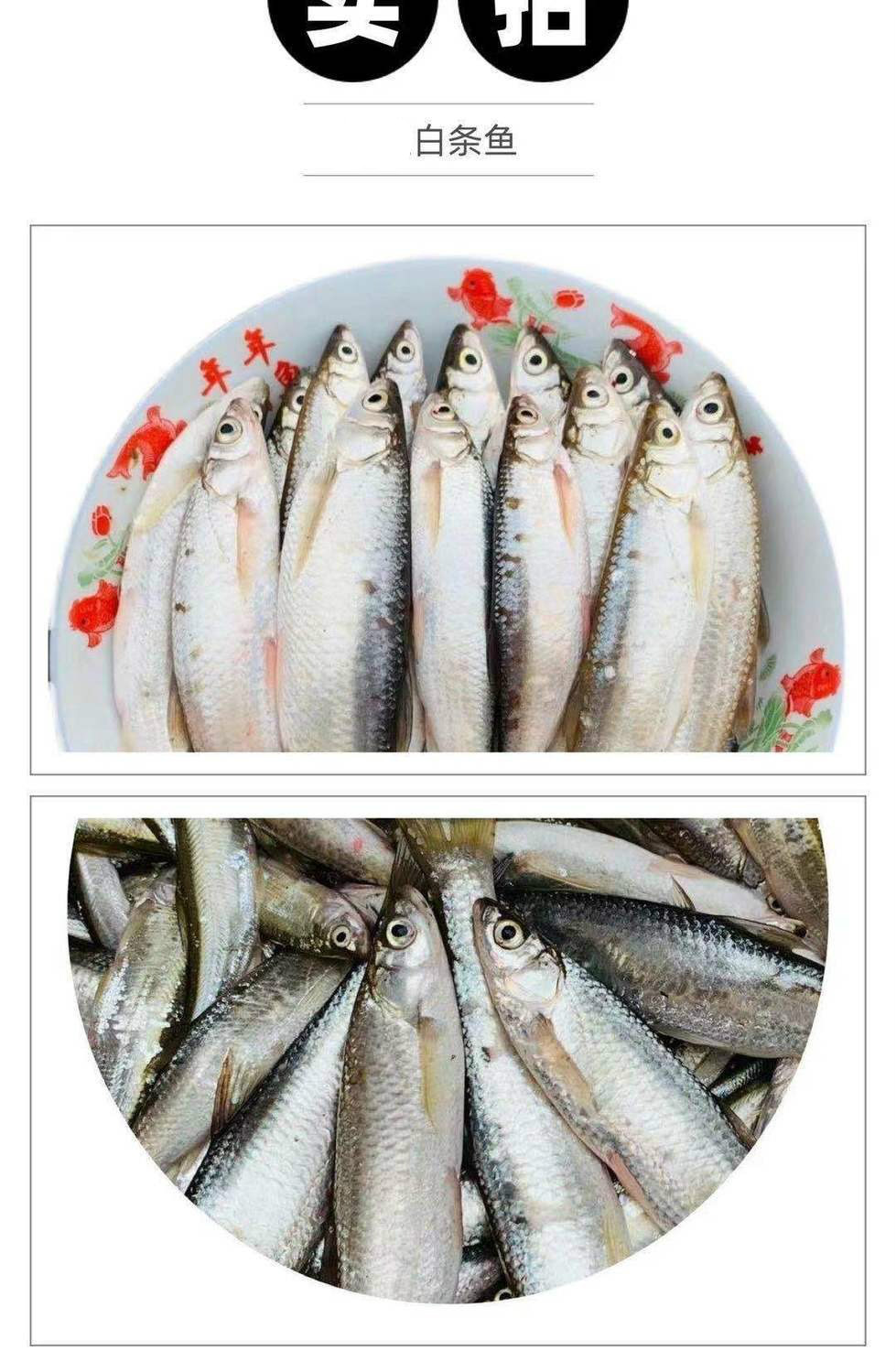 小白鱼新鲜川条鱼刁子油炸鱼淡水鱼翘嘴鱼现捞现杀去肠冷链二三王牛1