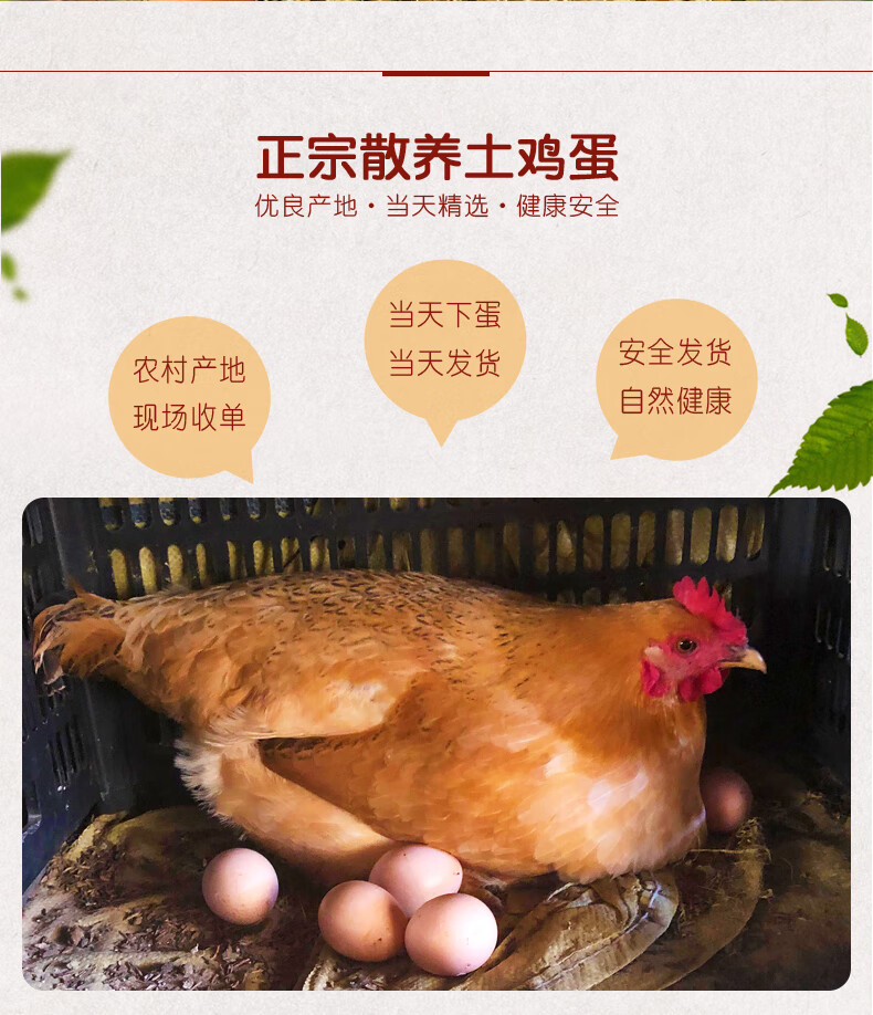 米詅正宗散养新鲜土鸡蛋农家走地谷物喂养过节团建送礼 50个坏了包赔