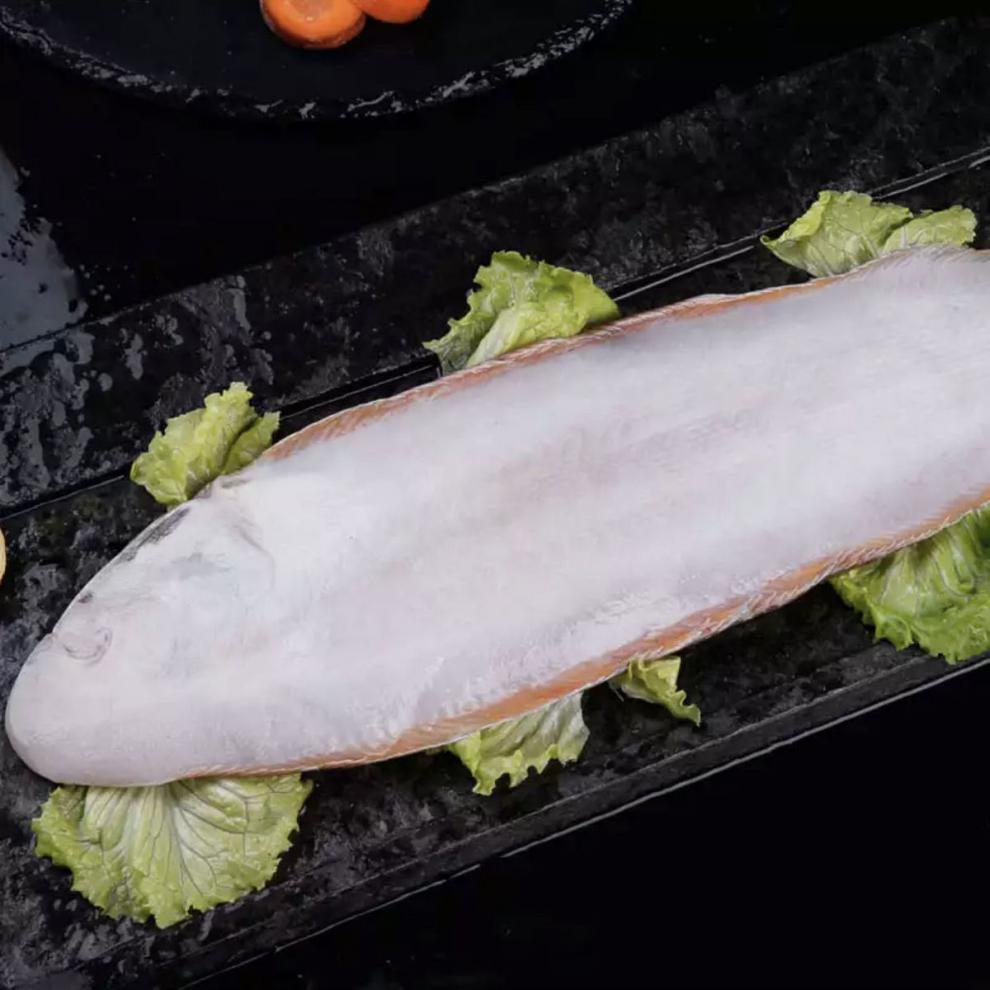 新鲜海捕龙利鱼舌头鱼踏板鱼鳎目鱼海鱼连云港特产海鲜水产特大号200g