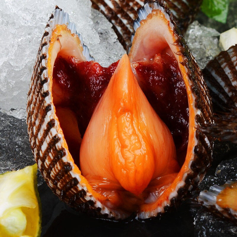 【鲜活毛蚶】新鲜蛤蜊毛蛤血蛤大毛蚶海毛蛤干净无沙贝类批发香津驿站