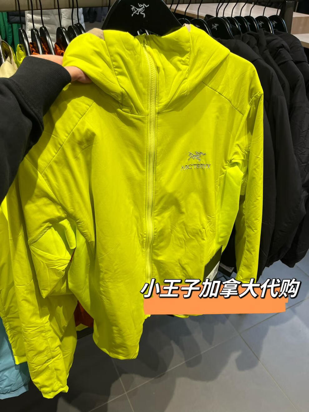 828b29875d7b7e5a.jpg