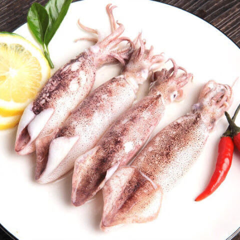 新鲜海兔鲜活海兔子笔管鱼带籽小海兔子海鲜籽乌半斤/2斤可选 1斤