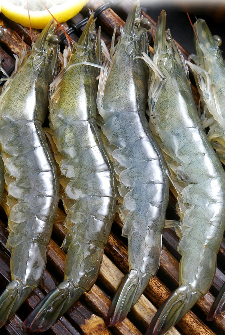 新鲜鲜活冷冻青岛大虾大号鲜虾海虾青虾生鲜海鲜虾类中秋节团建送礼生