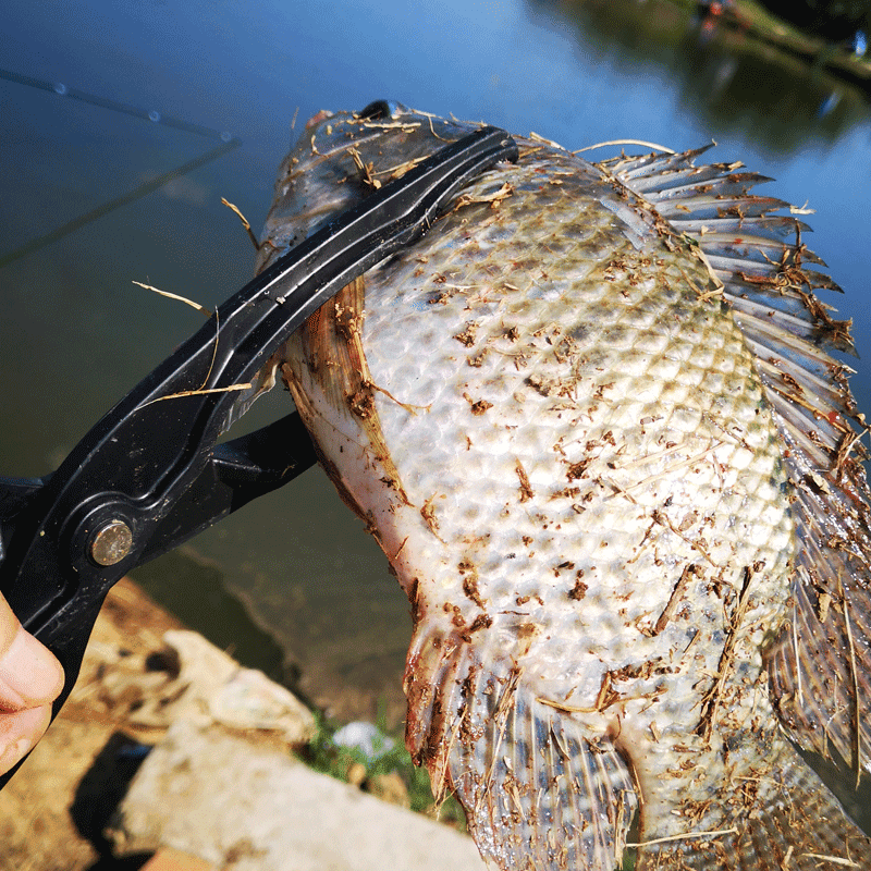鱼夹钳抓鱼钳防滑鱼夹子黄鳝夹螃蟹钓鱼塑料夹钳拿鱼冬季不冷扎手黑色