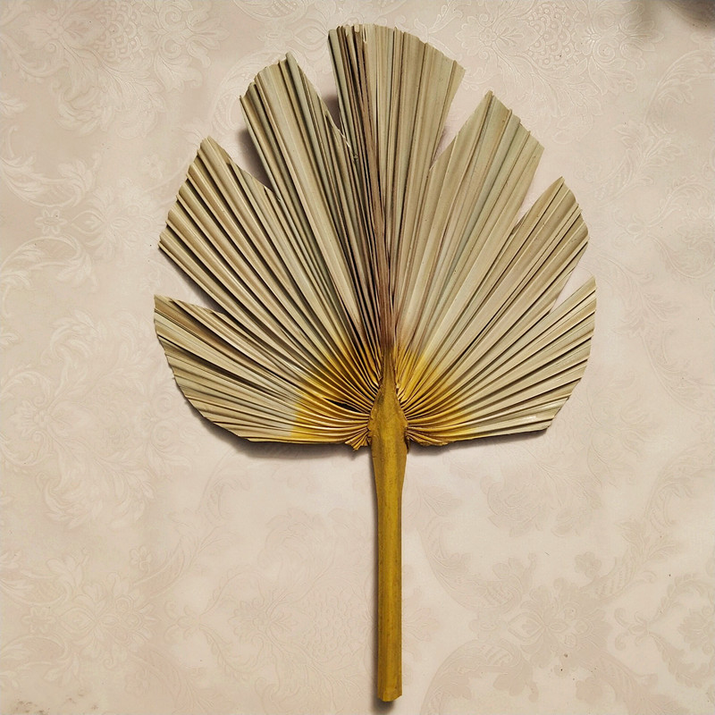 不浪漫先生 济公蒲扇酒吧蹦迪扇子大蒲扇芭蕉扇济公扇葵扇蒲草手工扇