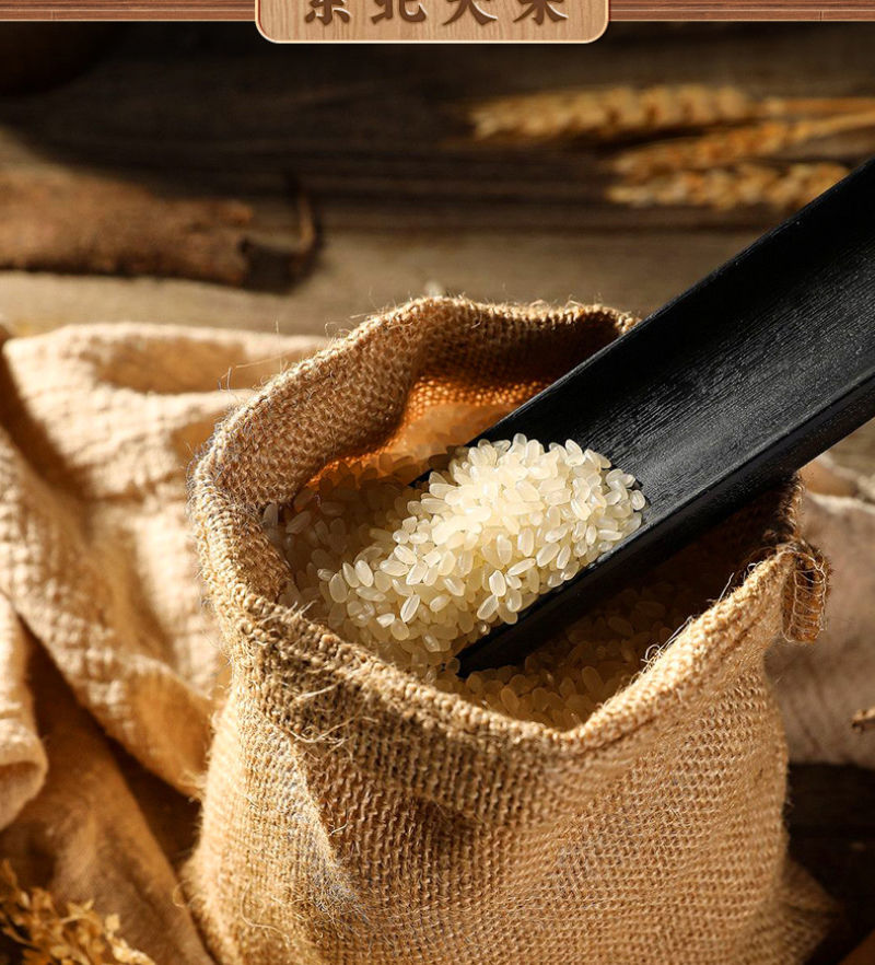 【6桶装】自热米饭大份量米饭自嗨自热锅速食方便米饭煲仔饭 菌菇牛肉