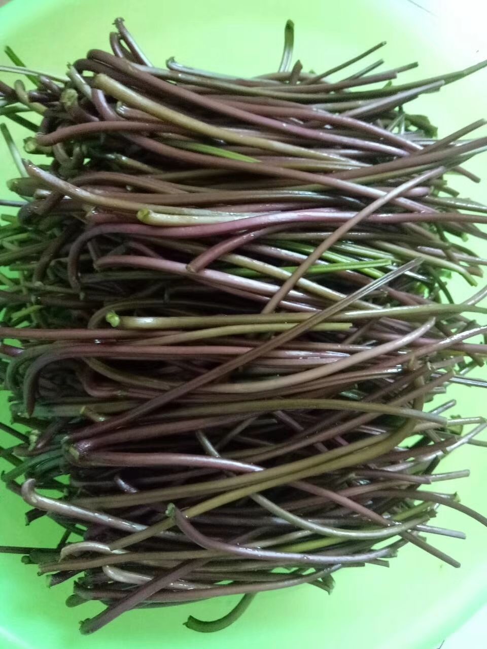 陕西自家腌制酸红薯杆杆老坛酸辣泡菜新鲜红薯干爽脆下饭菜 250克