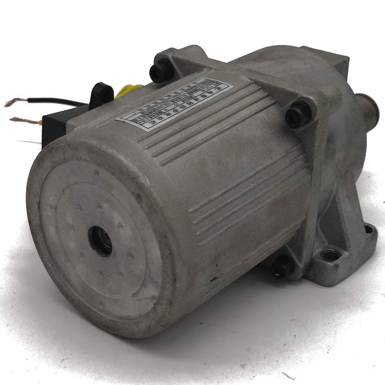 摇摇车电机马达新款摇摇车电机摇摆机马达yyjt-83 25w减速电机驰野