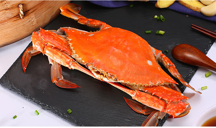 颐菁泽舟山梭子蟹鲜活野生大白蟹海螃蟹飞蟹新鲜海鲜水产 5-7两/只 -3