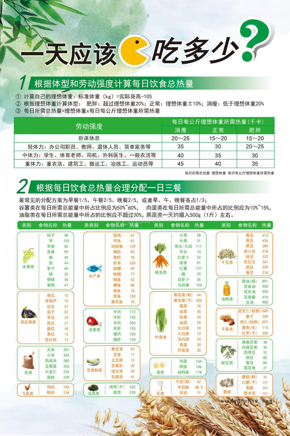 食物热量表 食物膳食表饮食水果蔬菜热量卡路里体重表健身房减重海报