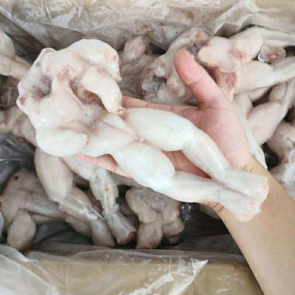 新鲜冷冻牛蛙刨冰毛重10斤去皮去内脏 净重5斤铁板烧烤肉类食材 福建