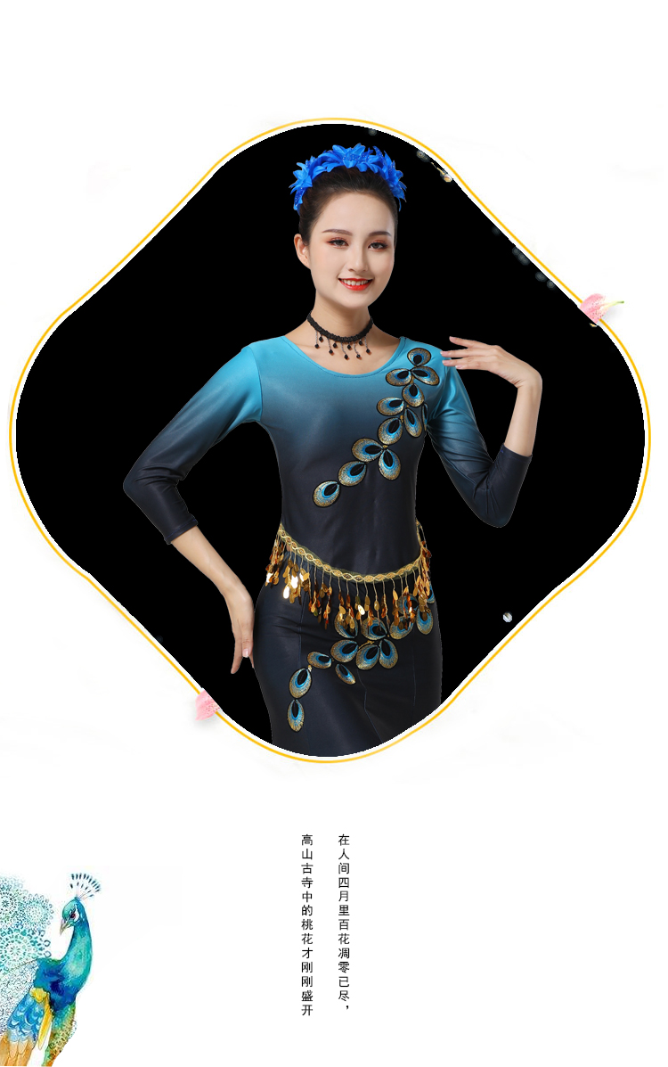 云南西双版纳傣族服装女舞蹈服少数民族葫芦丝演出服孔雀舞表演服长袖