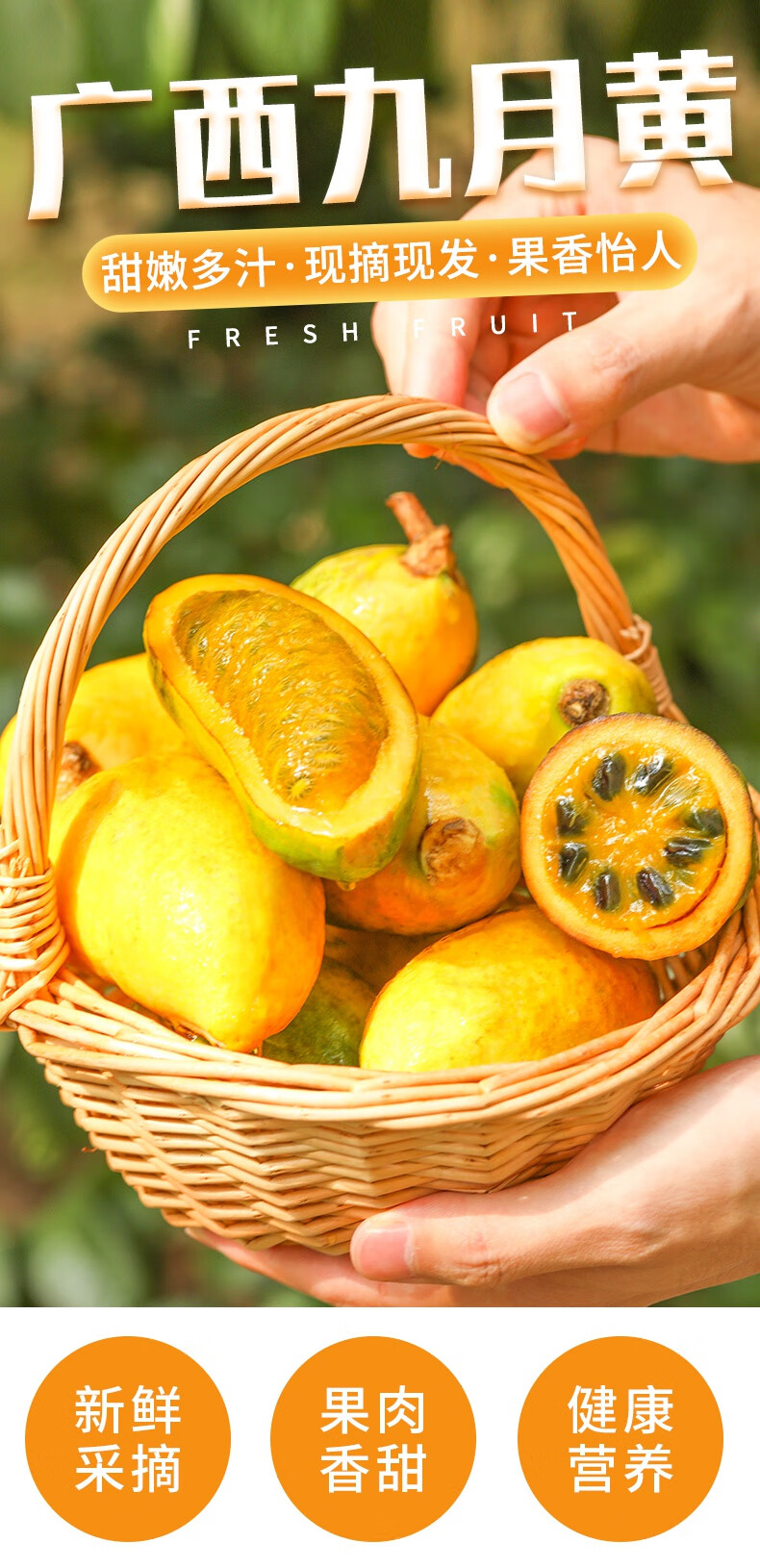 新鲜九月黄5斤应季水果拿麻藤包牛卵坨八月瓜木通果特产9顺丰 4斤