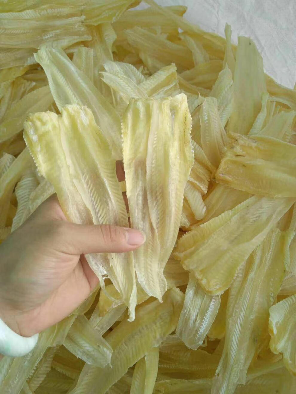 鱼唇广东湛江特产足干干货煲汤炖煮佛跳墙食材港式鱼唇50g25050克