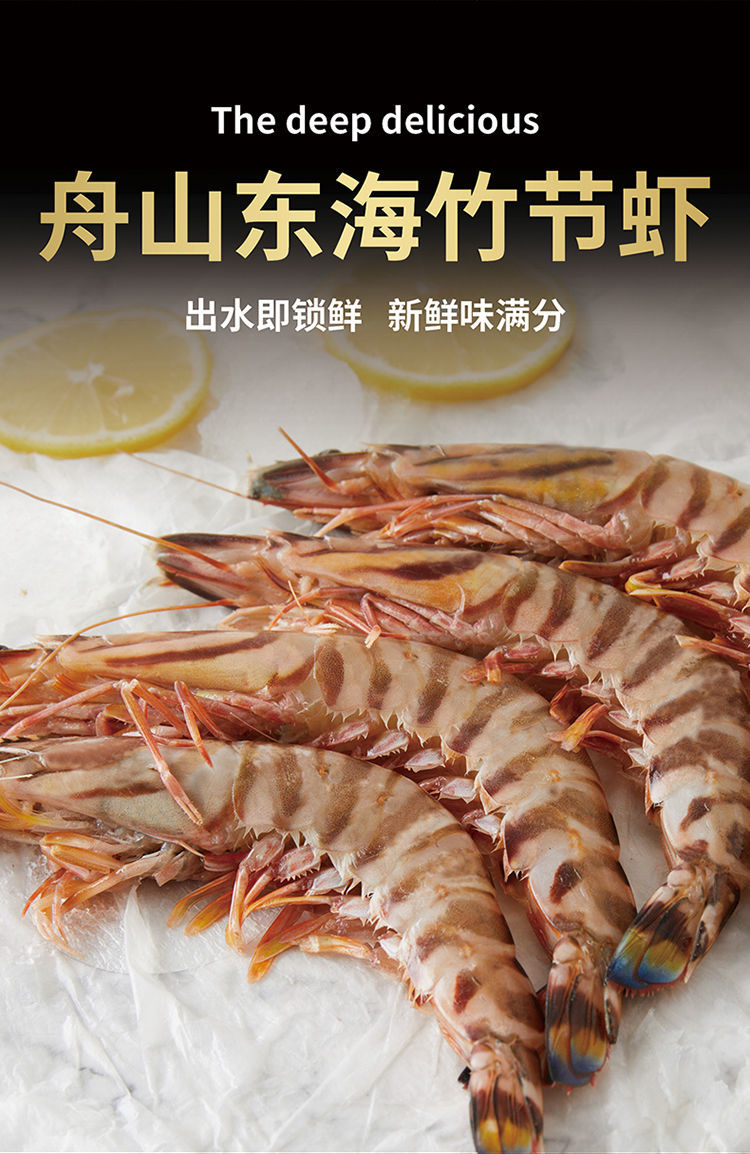 竹节虾多少钱一斤图片