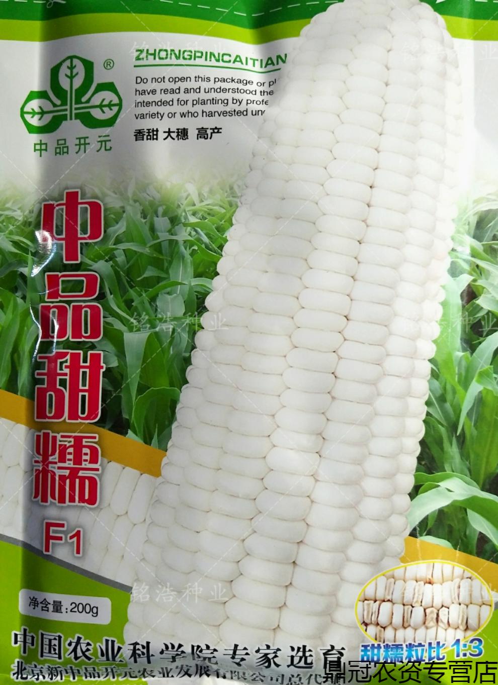菜友白糯玉米种子鲜食粘甜糯春季播抗病加香甜玉米籽中品甜糯中品甜糯