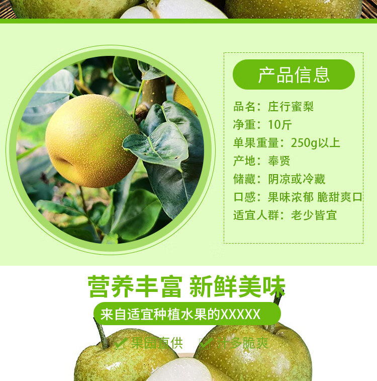 翠冠蜜梨崇明翠玉雪花梨子水果当季新鲜时令过节送礼 精选 5斤【图片
