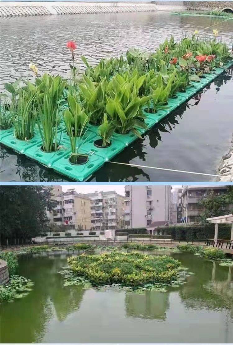 生态浮岛水面绿化植物造景水上种植种菜漂浮板水上园艺人工浮床 荷花
