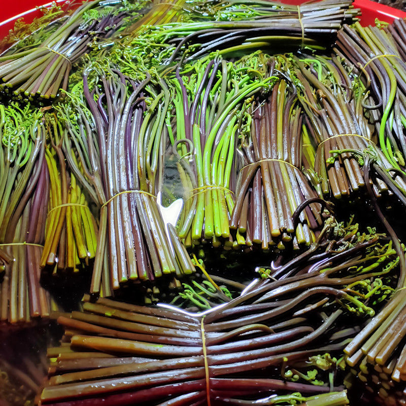 贵州黔东南特产手工野生蕨菜酸蕨菜2022年酸蕨菜下酒菜3斤