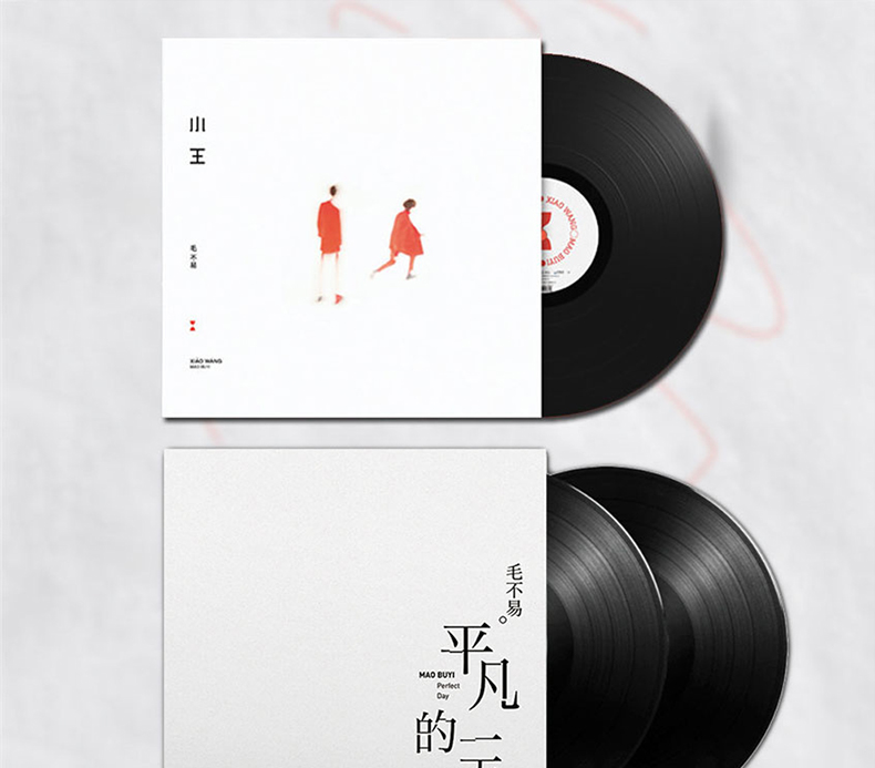 正版毛不易专辑小王平凡的一天lp黑胶唱片留声机专用12寸大碟