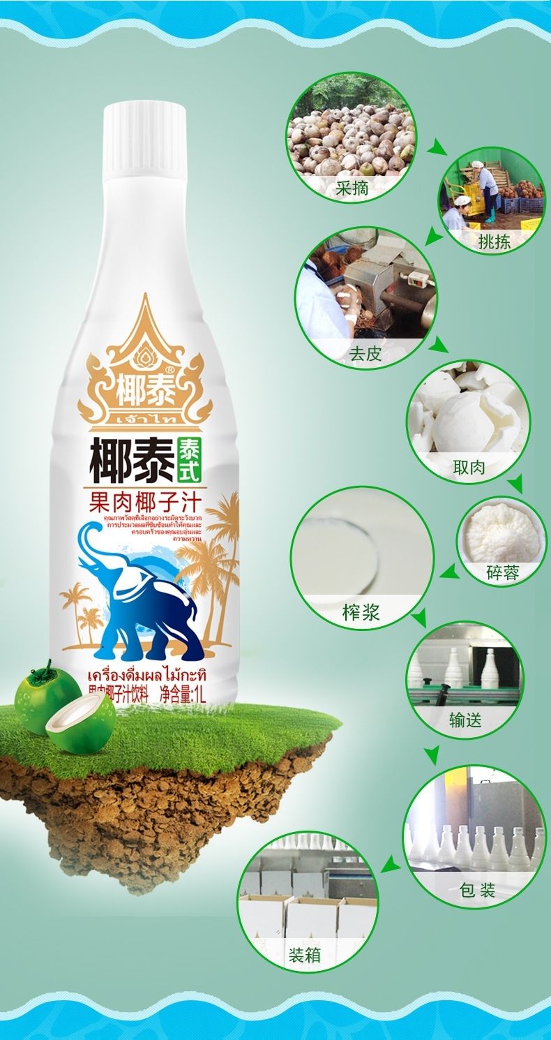 25l 生榨果肉椰子汁植物蛋白饮料椰汁果味饮品 椰泰椰汁1