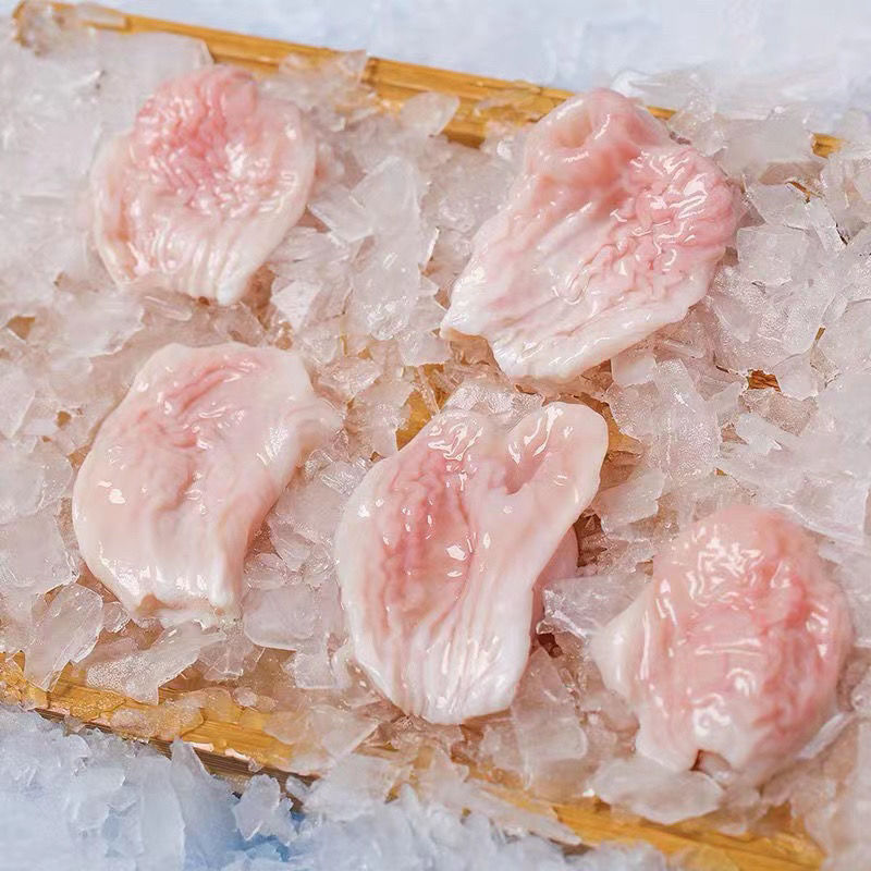 佳士禾 新鲜现取冰冻鮰鱼肚 巴沙鱼肚 花胶鱼胶鱼鳔酒店餐饮食材供应