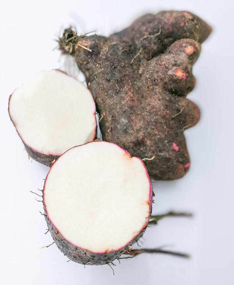 伟博 白心薯子现挖新鲜白山药脚板薯种苗大薯毛薯紫山药种子5斤秧苗 5