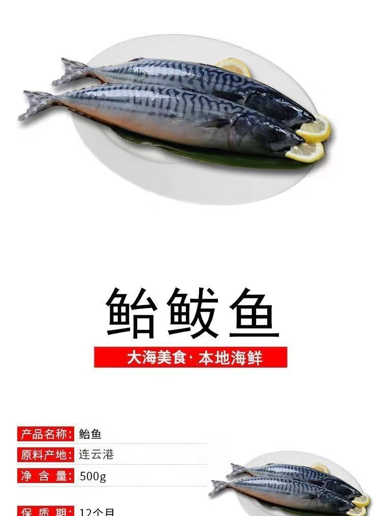 青魚鮁魚青佔魚新鮮鮁魚新鮮特大青花魚青條魚深海鮐鮁魚批發海鮮3斤