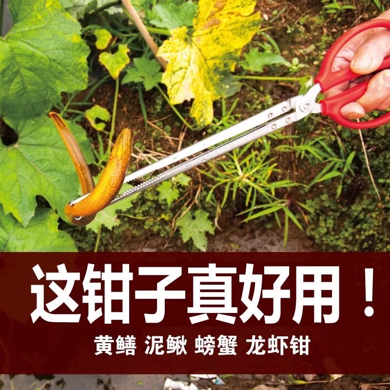 赶海工具套装装备神器儿童手套海边夹子螃蟹夹挖耙子抓蟹铲抽器 小号