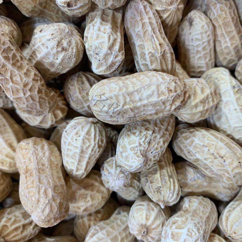 fghgf 冠华蒜香花生奇味香脆花生 蒜香味咸脆花生ktv酒吧小吃 蒜香咸