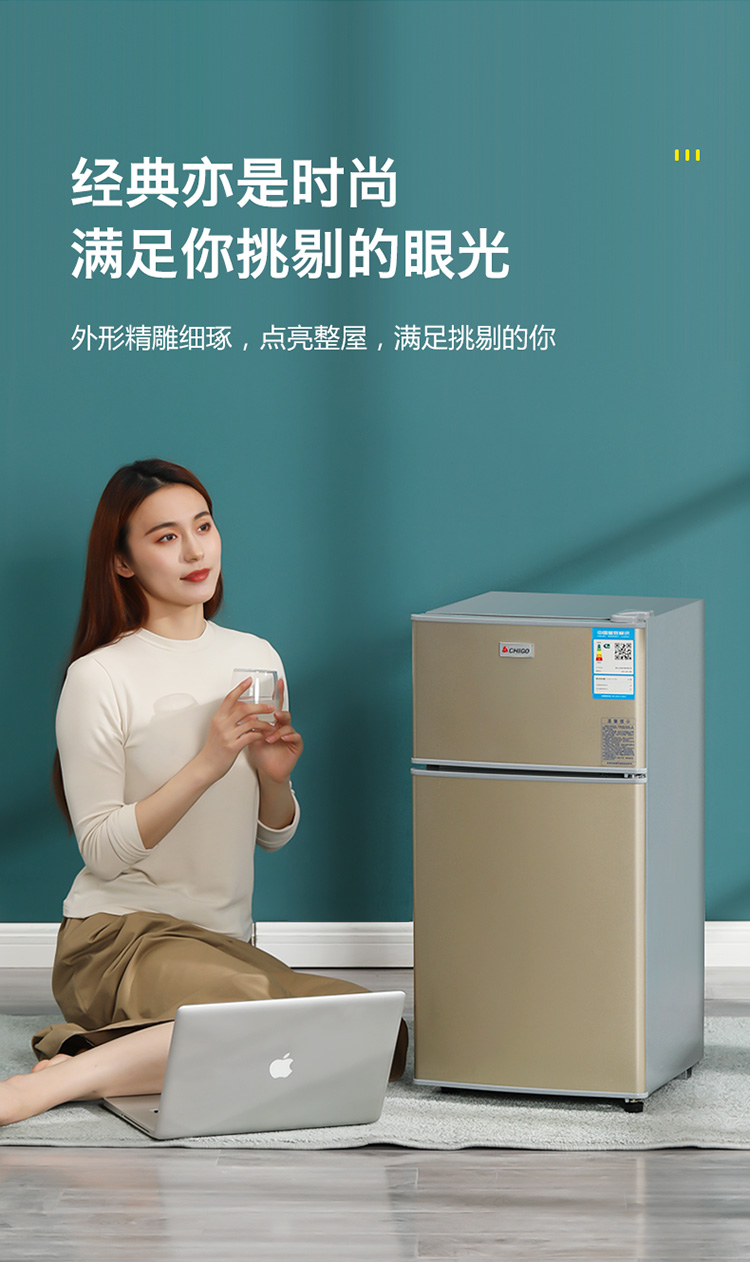 志高小冰箱顺睿家用小型租房用冷藏冷冻迷你出租屋宿舍二人用节能省电