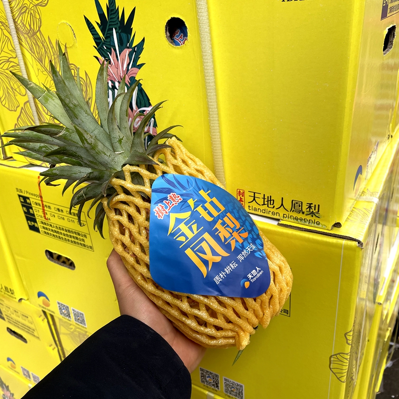 源外园顺丰直达海南天地人金钻凤梨大果新品种树上熟凤梨q坏果包赔