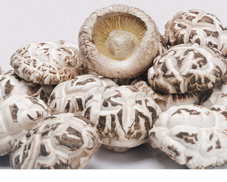 5折房县特产特产特产天白花菇冬菇香菇干货礼盒500g盒湖北神农架土