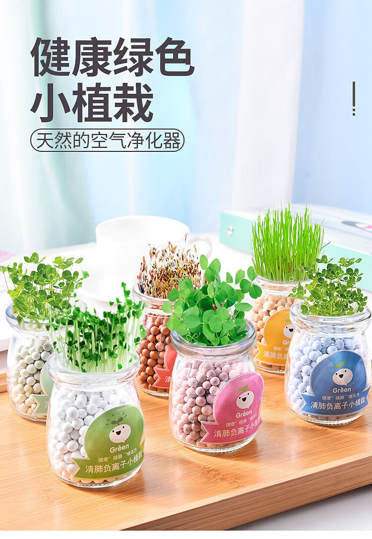 光随我意dy创意负离子水培盆栽绿植物办公室桌面陶碳球迷你小盆栽爱情