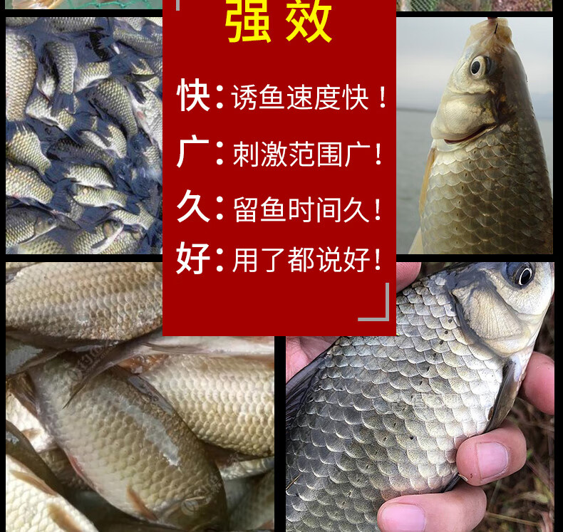 专卖店商品编号:10061159345348商品名称:武汉天·元邓刚血麦粒鱼饵