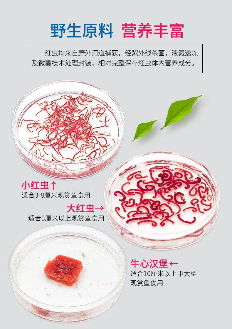 冷冻红虫牛心汉堡冷冻红线虫观赏鱼食增彩增体 小赤虫100g 六角食170g