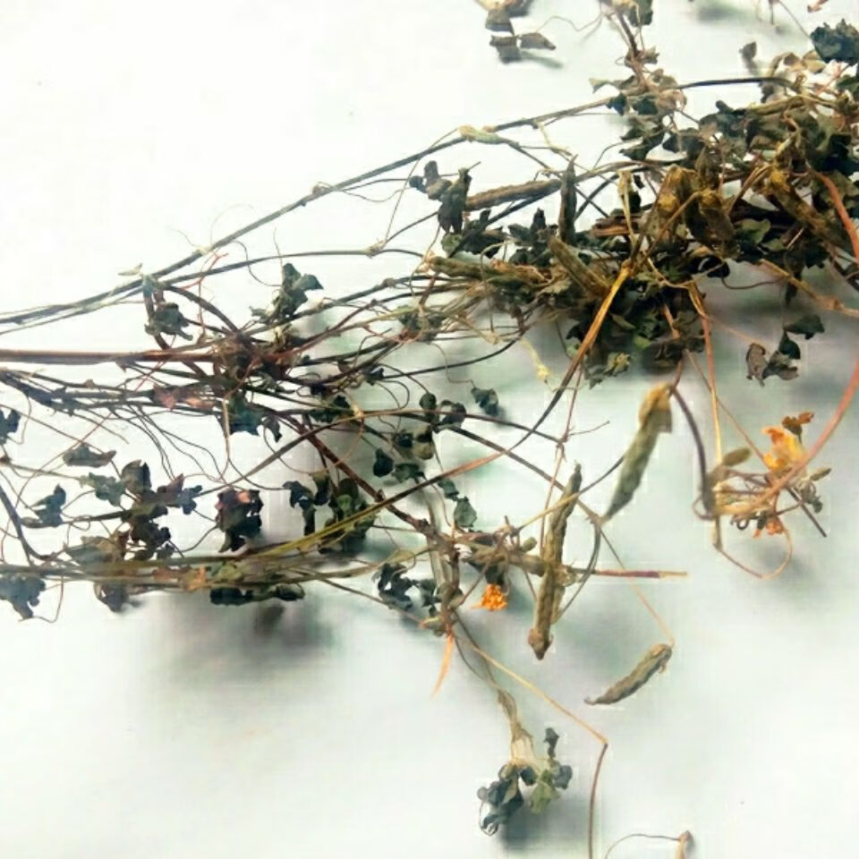 贵州省野生草药酢浆草 新鲜干货酸浆草酸咪咪酸三叶酸炸浆草 打粉250