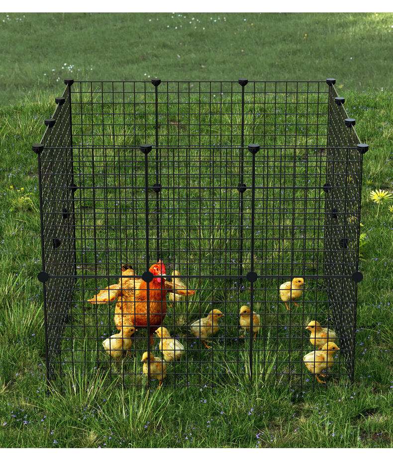养鸡笼家用户外不锈钢鸡笼子室外大号防雨大型鸡笼围栏垫网挡鸡带