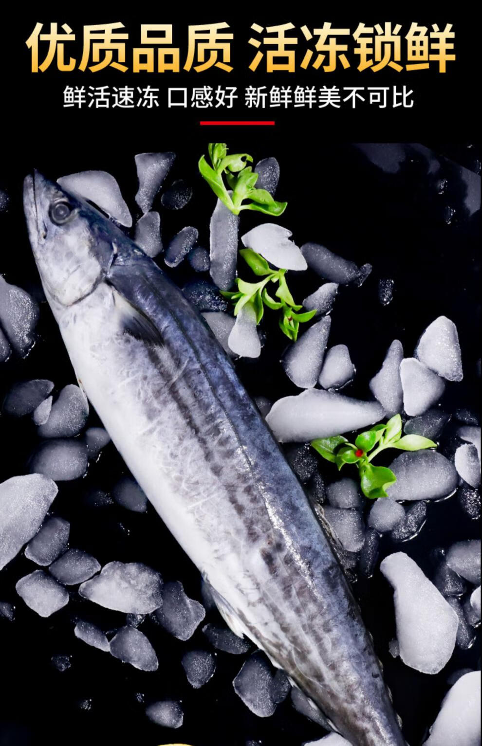 大鲅鱼青岛大鲅鱼鲜活5斤冷冻新鲜深海鱼水产整条海捕特大马鲛鱼水