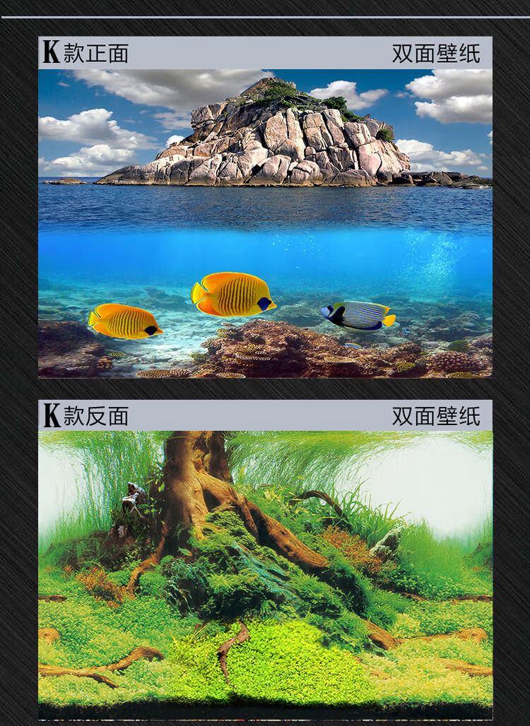 鱼缸背景画鱼缸背景纸高清图3d立体造景贴纸装饰珊瑚石水族箱壁纸l款