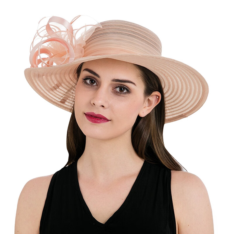 帽子夏天可折叠遮阳帽夏季女士大帽檐太阳帽出游旅游帽凉帽沙滩帽细雪