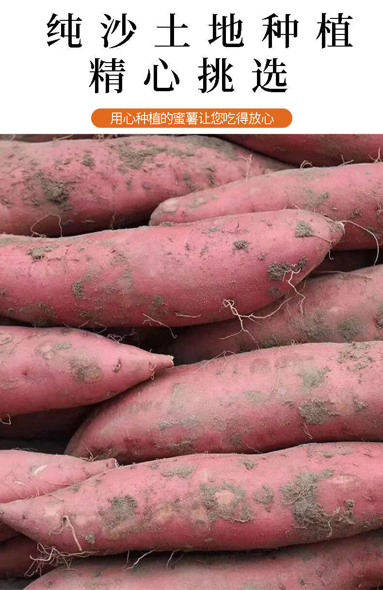 山东蜜薯糖心红薯红心流油新鲜烟薯25超甜地瓜沙地软糯番薯2斤烟薯25