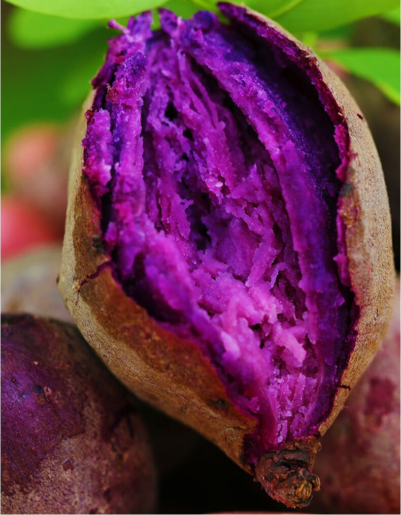 晨臻山东紫罗兰紫薯 粉糯地瓜 紫心番薯 新鲜蔬菜 健康轻食 紫薯 【3