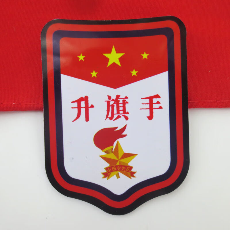 婕染小学生中小大队长臂i章干部标i志学校用品队袖标i大队委10枚装